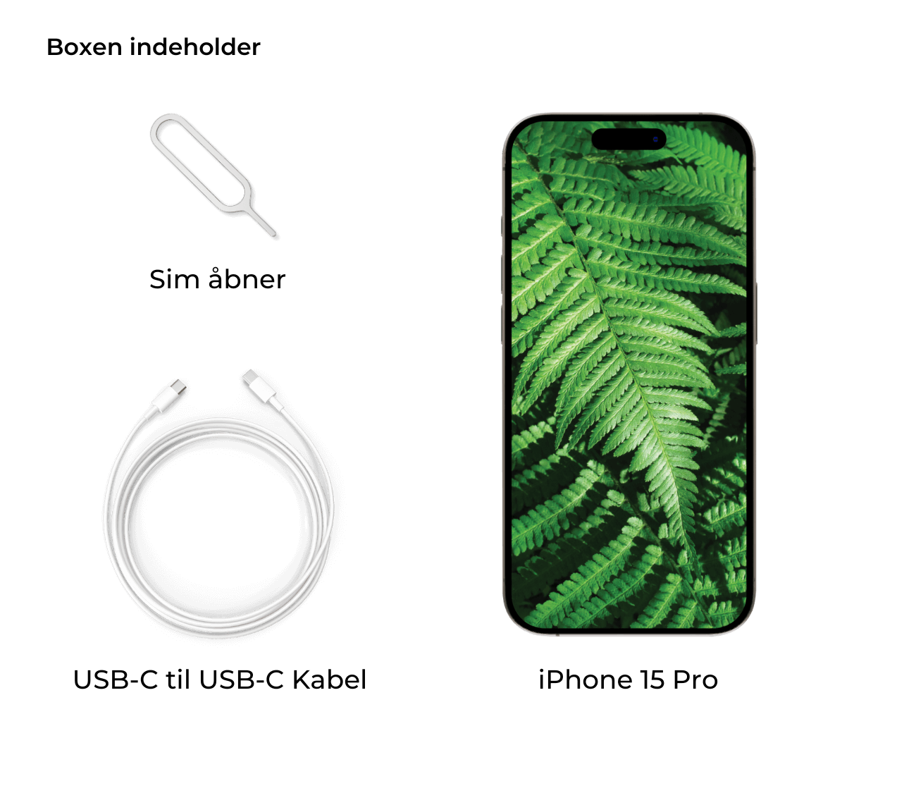 Smartphone med bregnebaggrund, opladerkabel og SIM-værktøj.