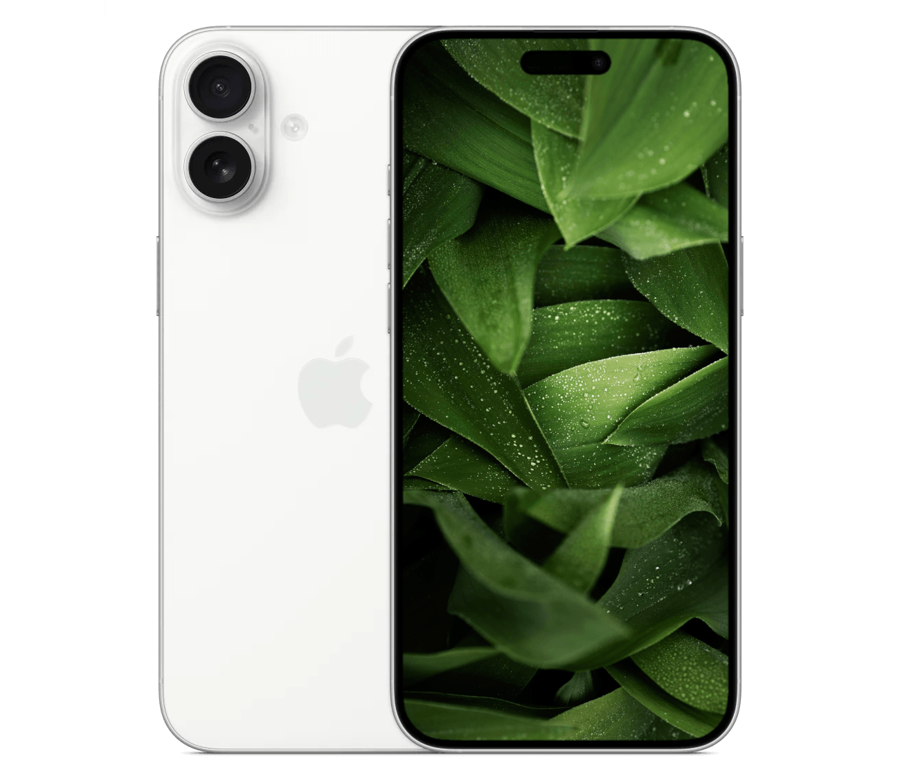 iPhone 16 Plus