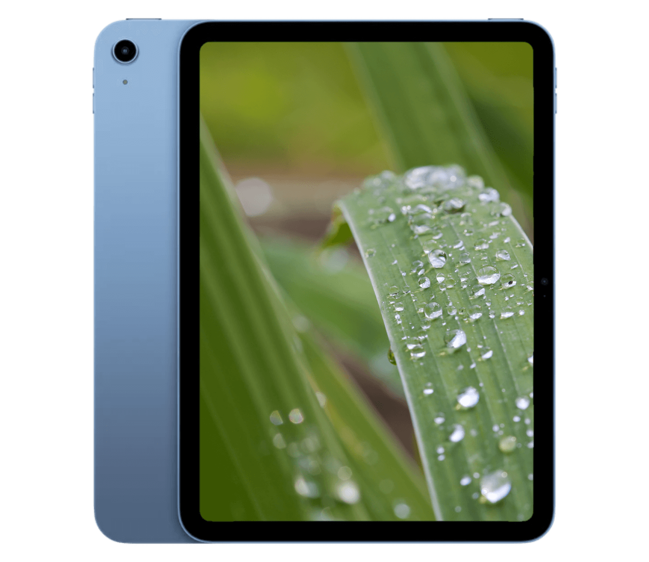 iPad A16 (2025) 11" WiFi