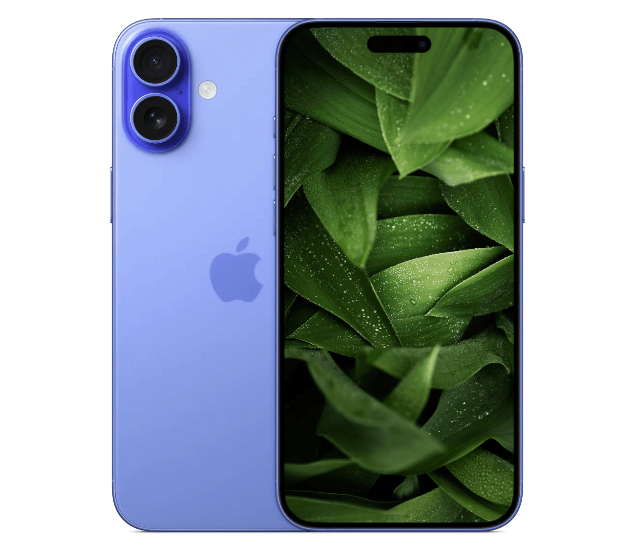 iPhone 16 Plus