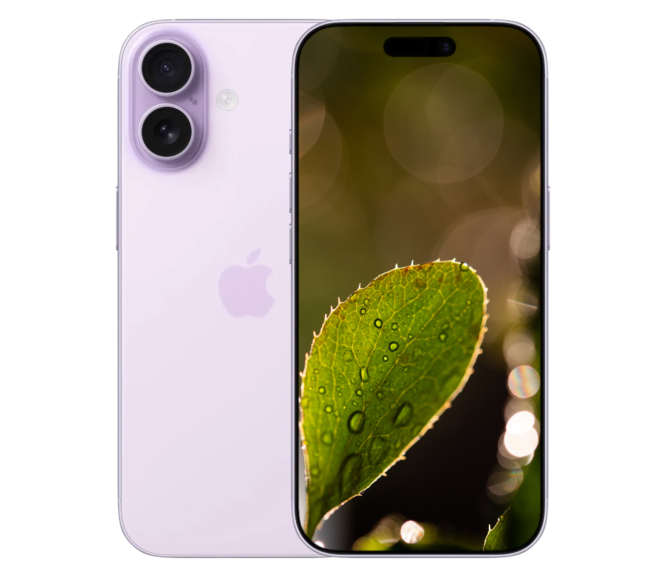 iPhone 17