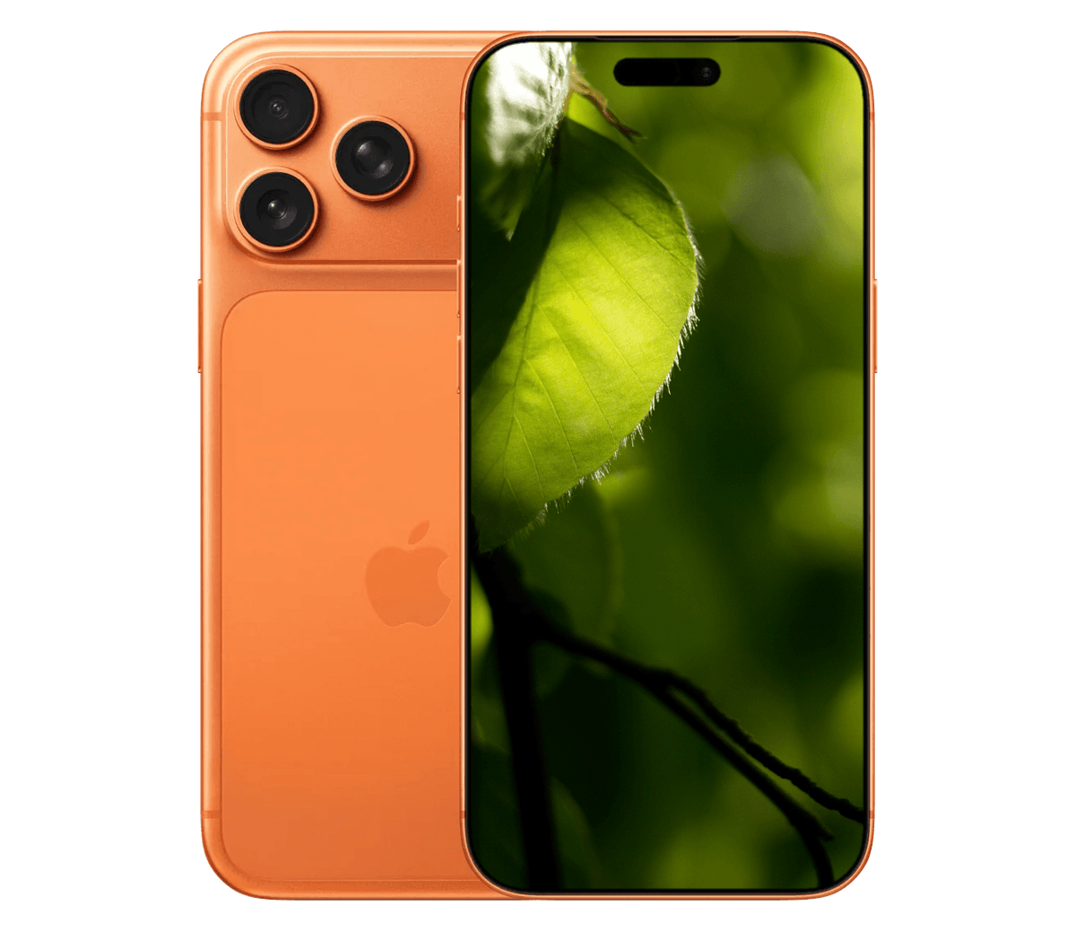#farve_orange