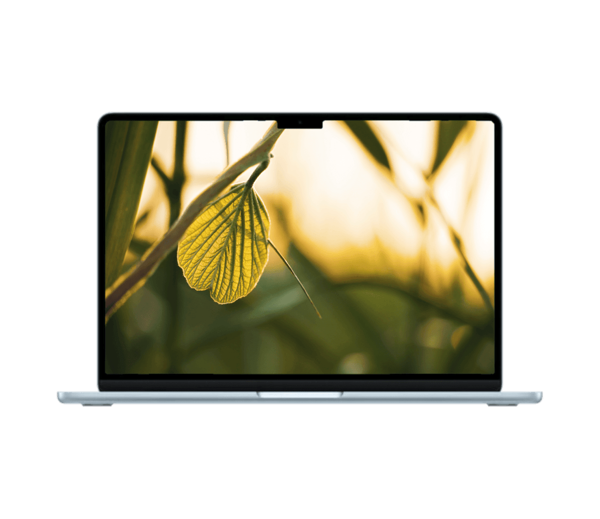 Macbook Air 13" (2025) M4 - iDevice.dk