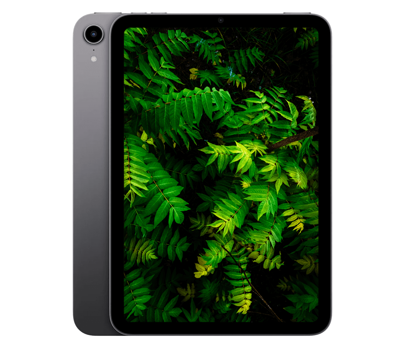 iPad Mini 6 (2021) 8.3" WiFi + 5G - iDevice.dk