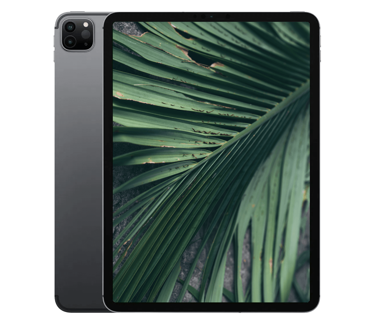 iPad Pro 2.Gen (2020) 11" WiFi + 4G