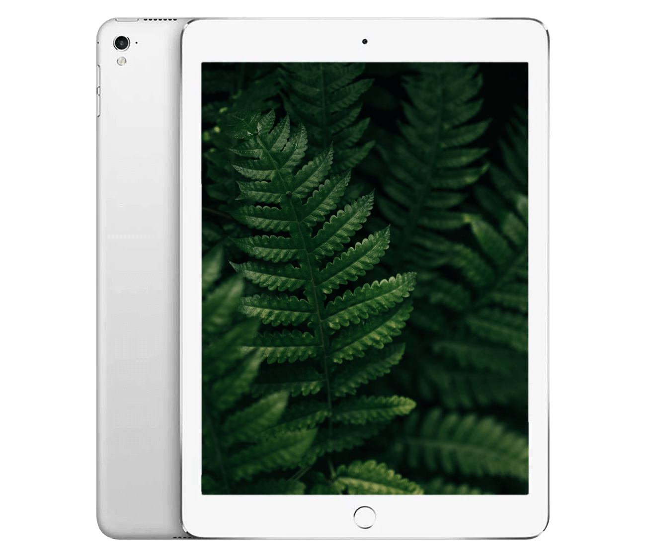 Sølv iPad med bregnebaggrund.