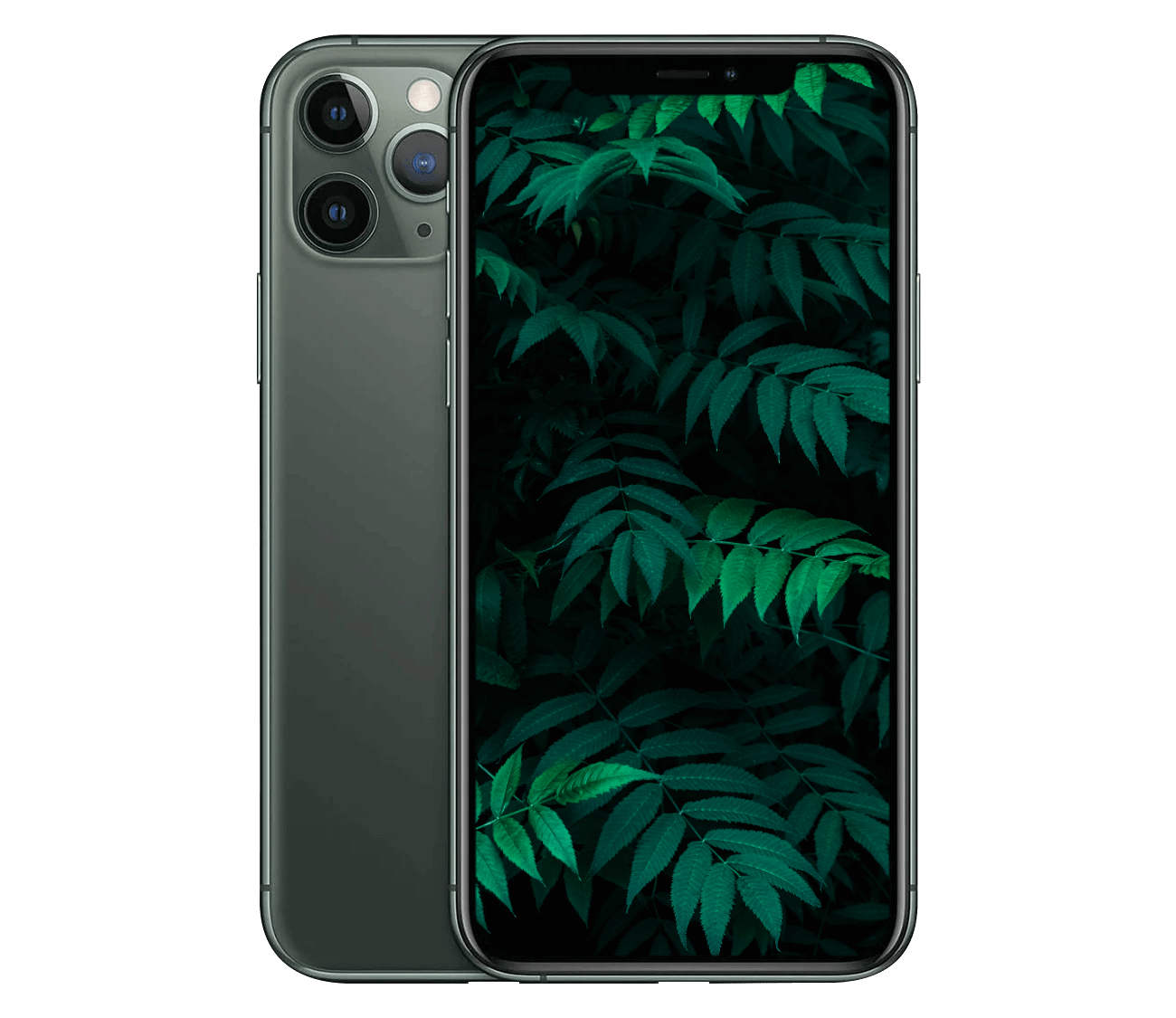 #farve_midnight grøn