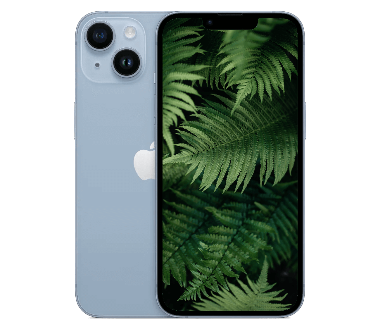 iPhone 14