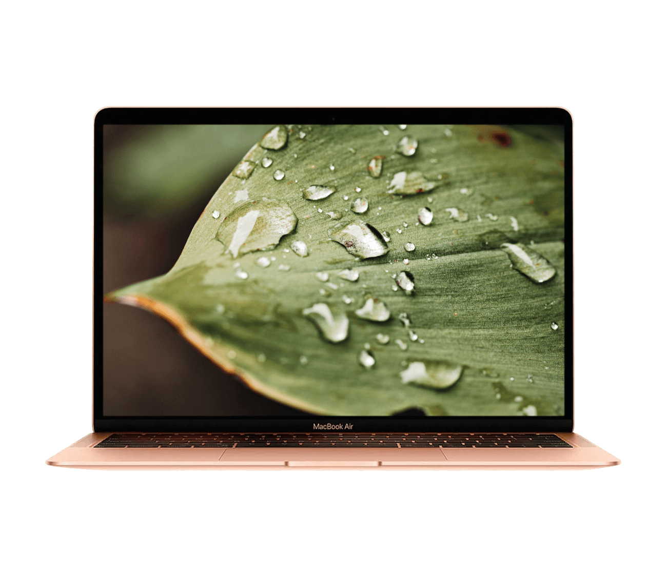 MacBook Air med bladbaggrund