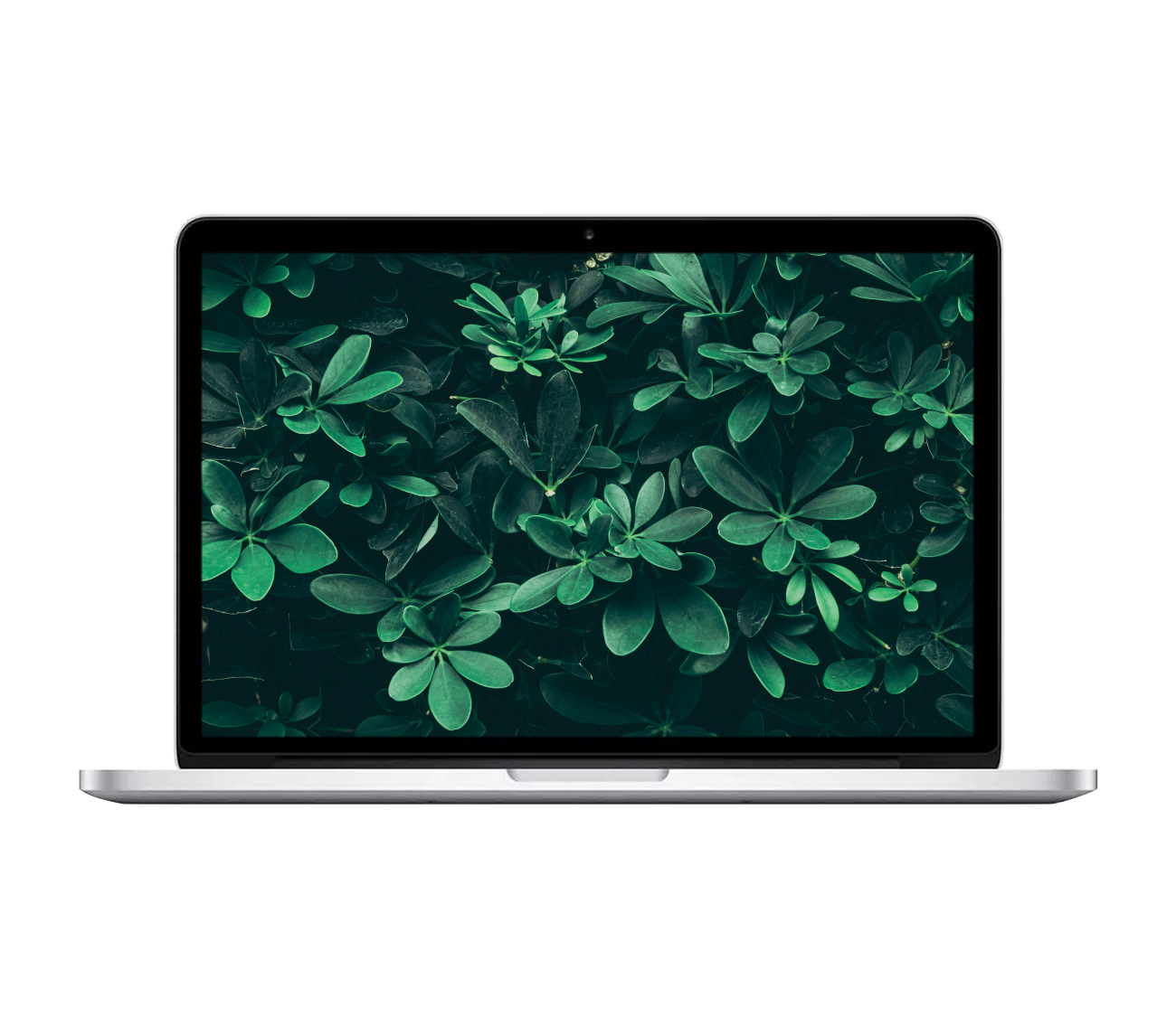 MacBook Pro med plantebaggrund.