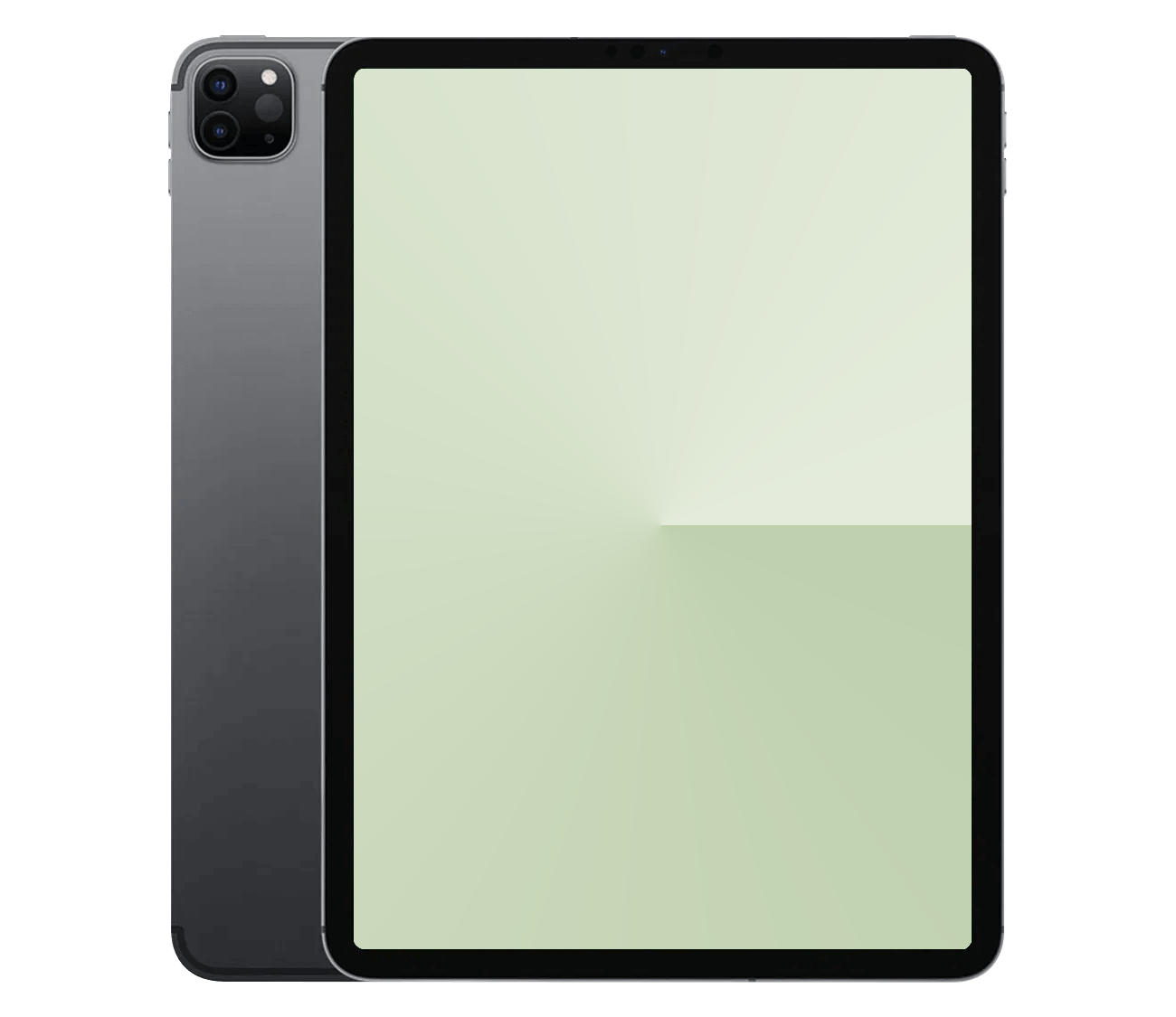 iPad Pro 11" 2.Gen reparation