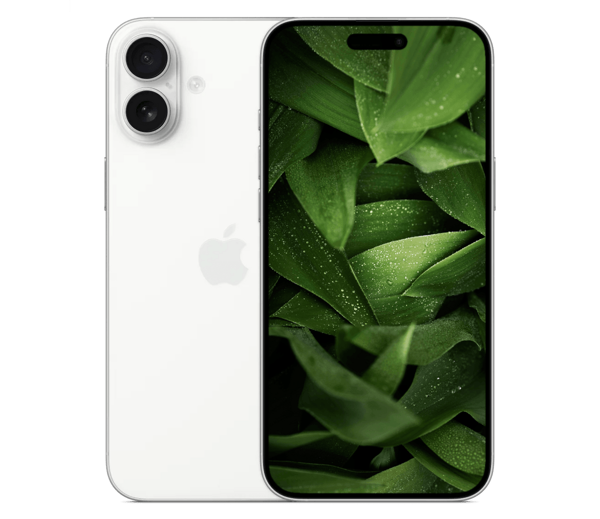iPhone 16 Plus