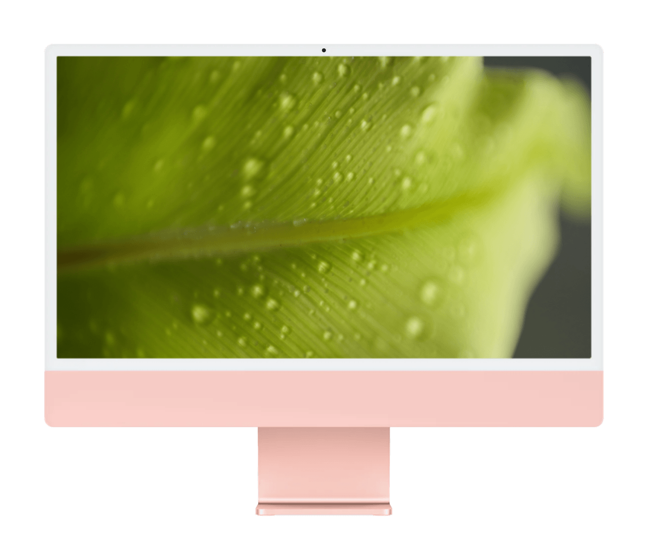 #farve_pink