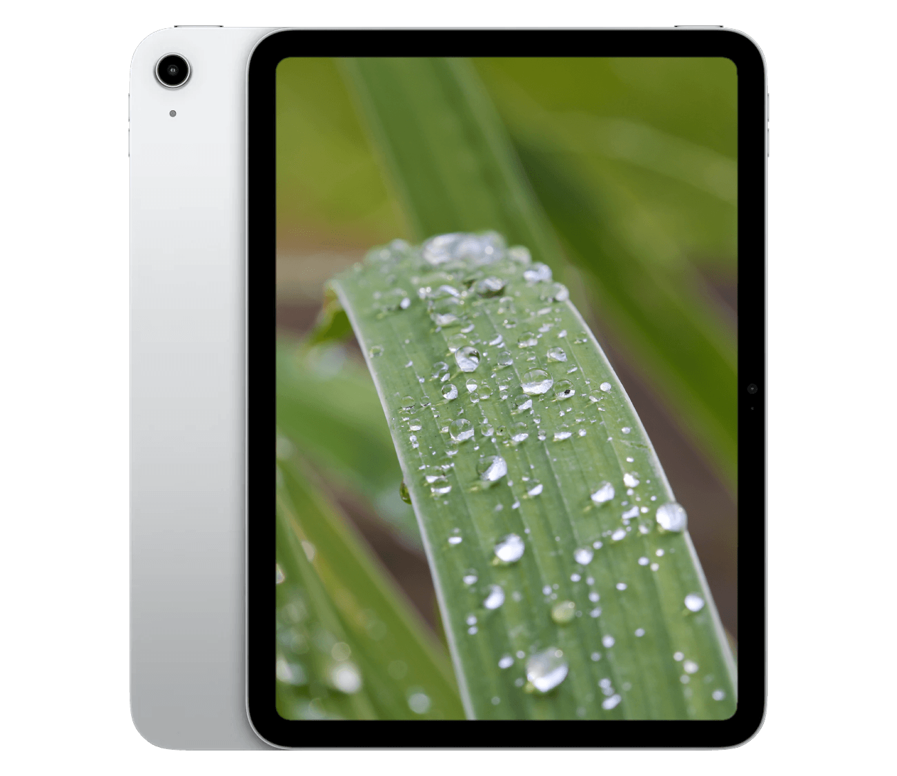 iPad A16 (2025) 11" WiFi
