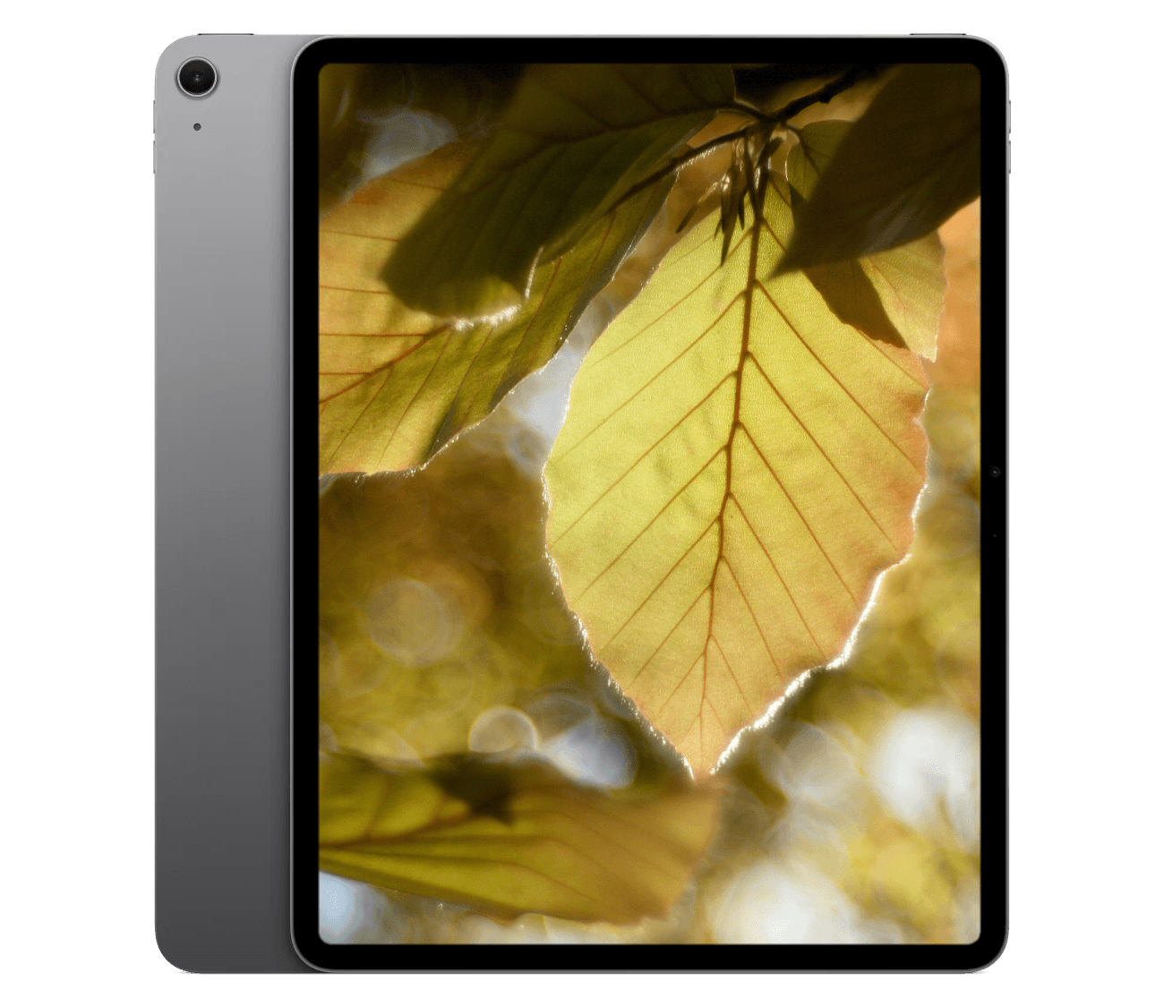 iPad Air M4 (2026) 13" WiFi + 5G