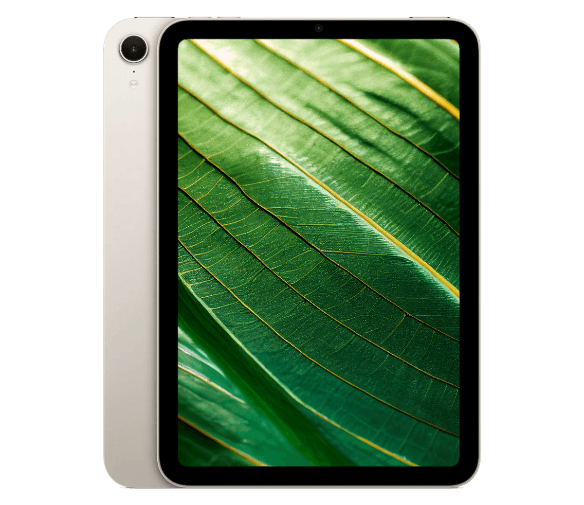iPad Mini 7 (2024) 8.3" WiFi + 5G