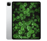 iPad Pro 5.Gen (2021) 12.9