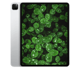 iPad Pro 5.Gen (2021) 12.9