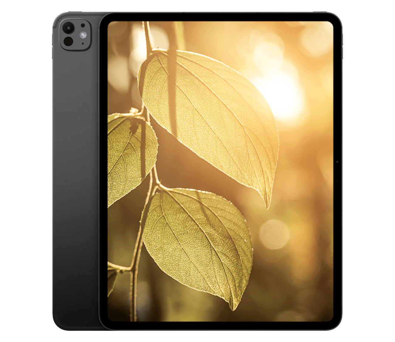 iPad Pro M5 (2025) 11" WiFi
