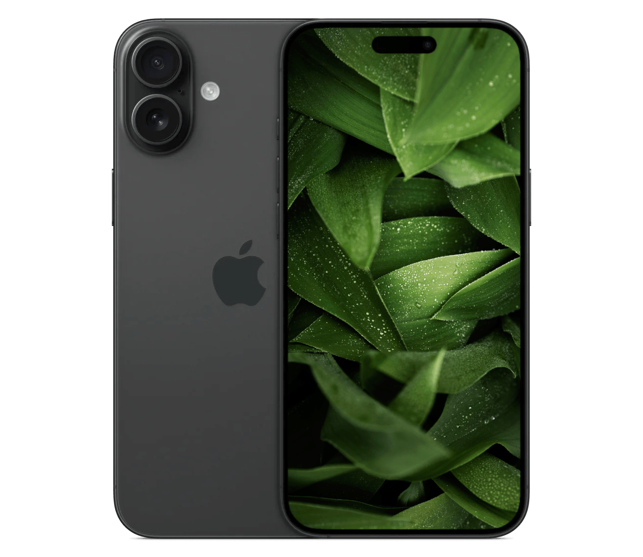 iPhone 16 Plus
