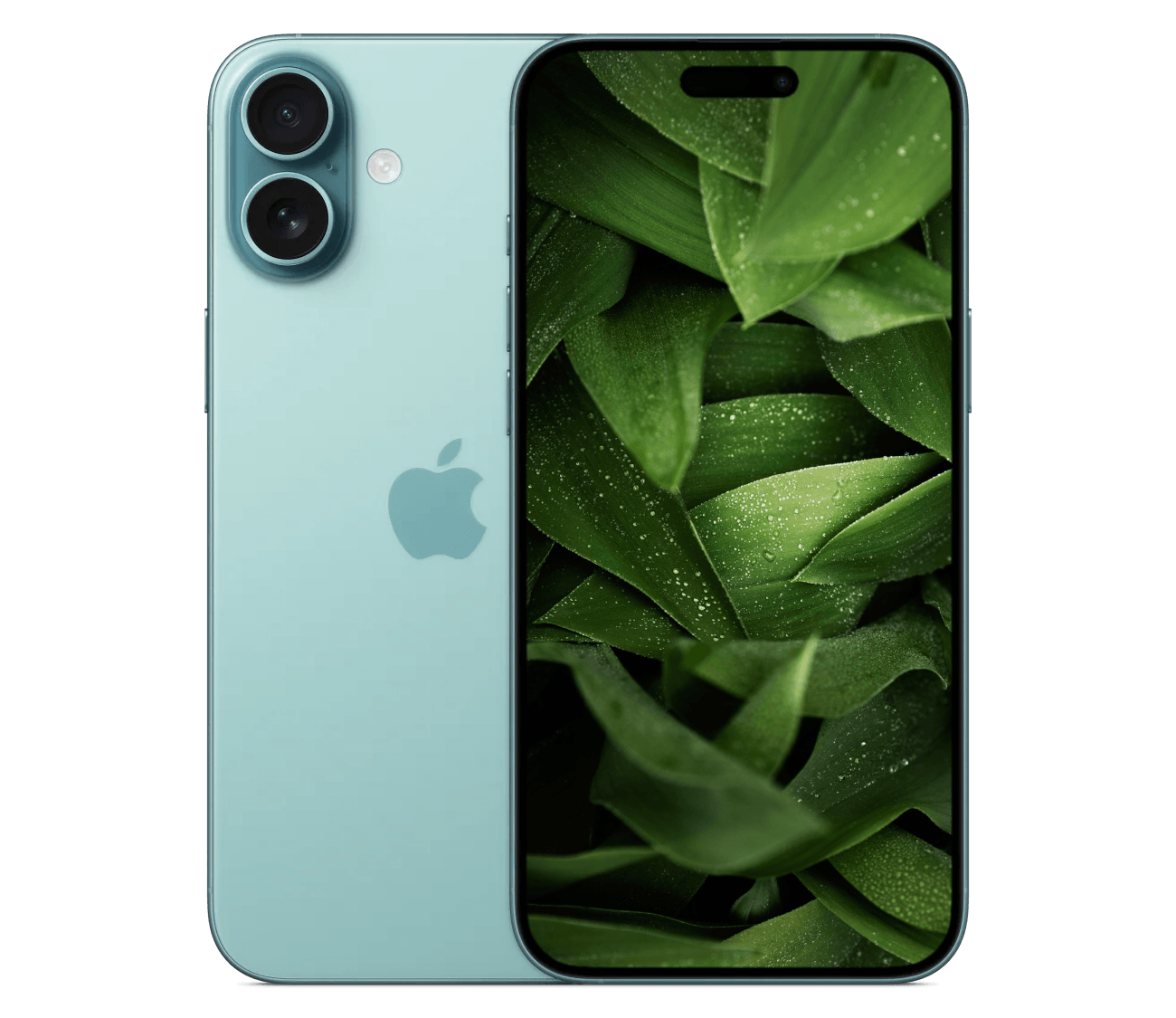 #farve_teal