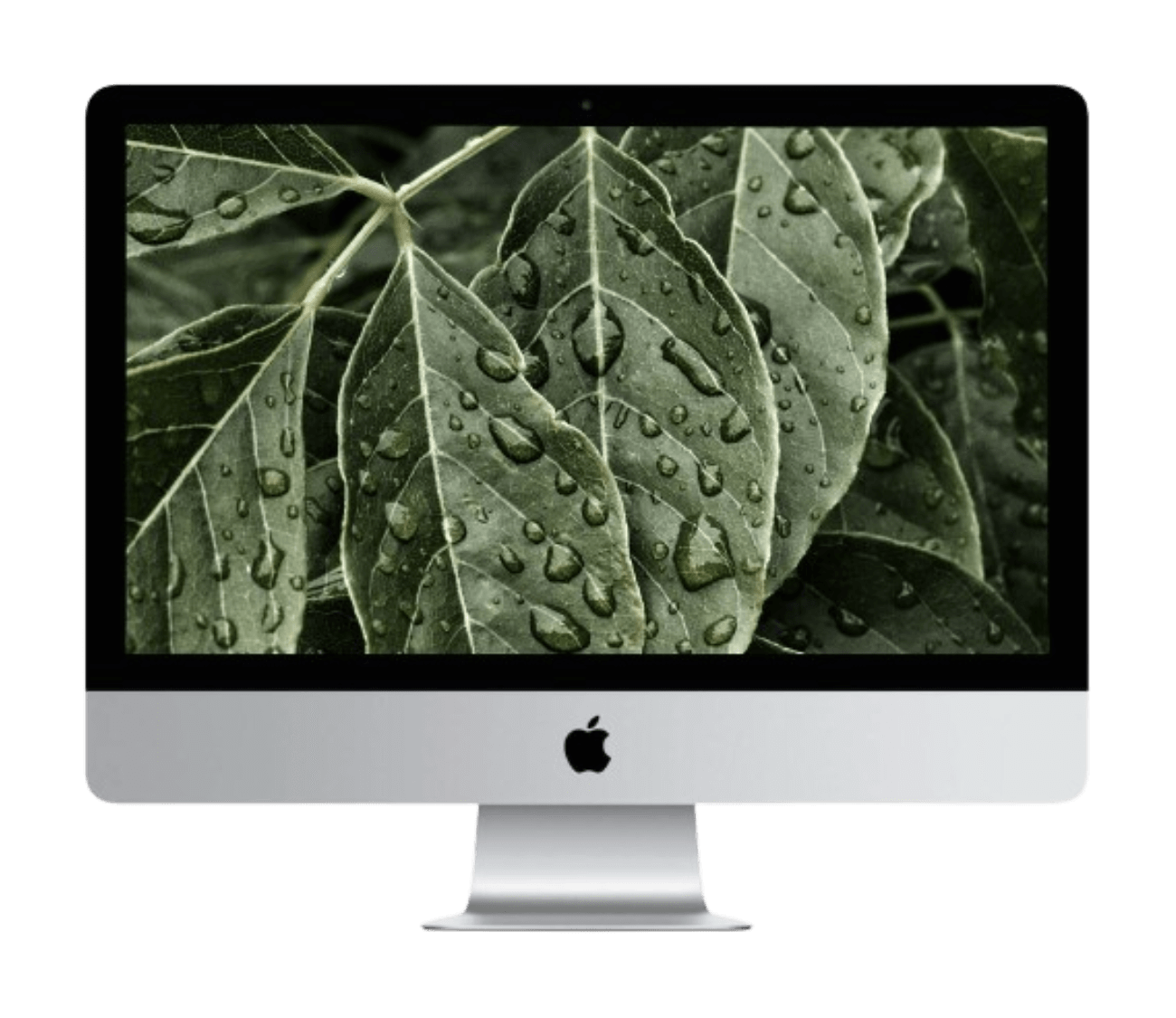 iMac 21.5" 4K (2019) i3, 8/256GB