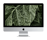 iMac 21.5