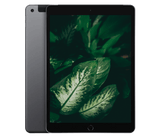 iPad 8 (2020) 10.2