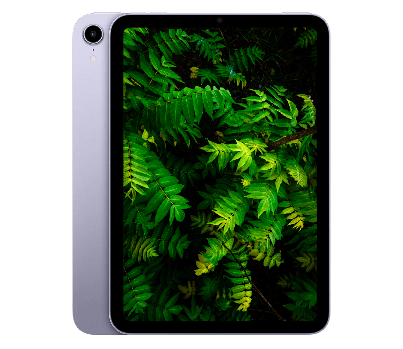 iPad Mini 6 (2021) 8.3" WiFi + 5G - iDevice.dk