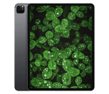 iPad Pro 4. Gen (2020) 12.9