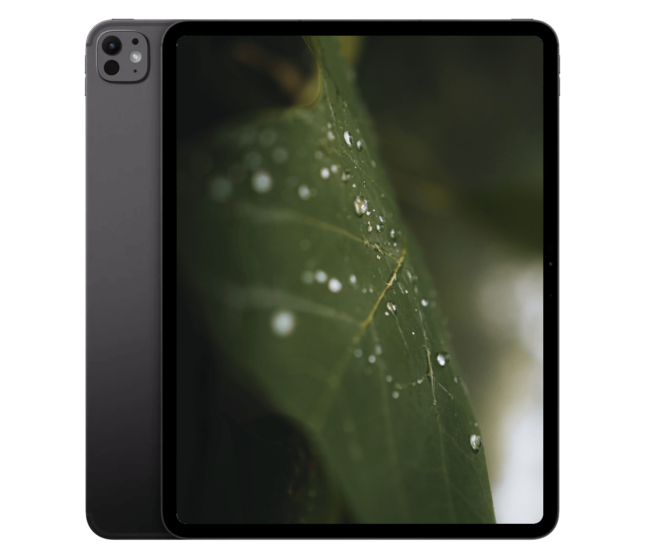 #farve_space black