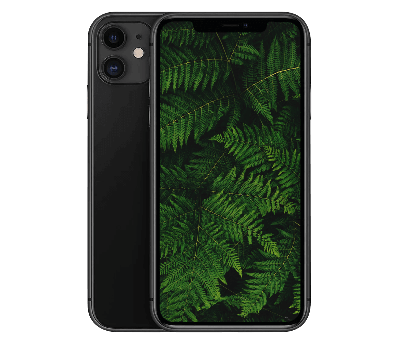 brugt iphone 11