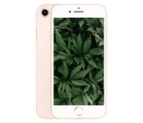 iPhone 8