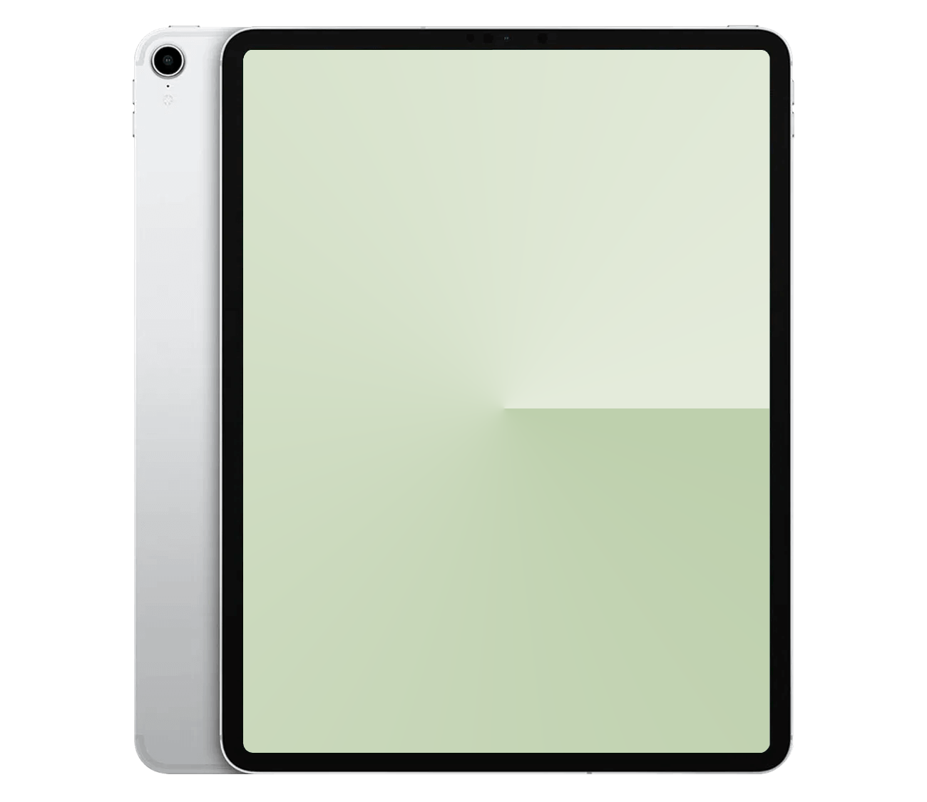 iPad Pro 11" 1.Gen reparation