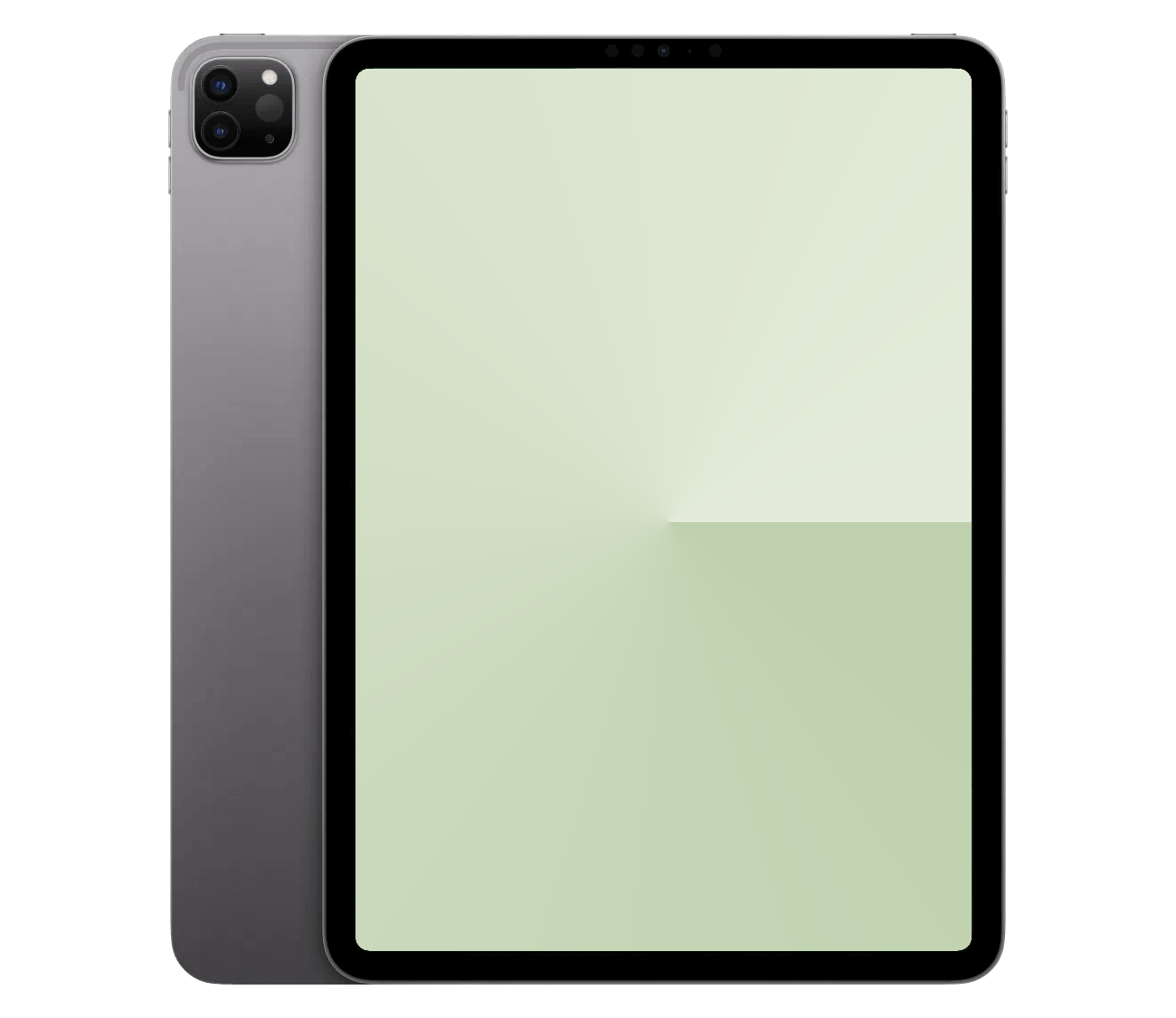 iPad Pro 11" 4.Gen reparation