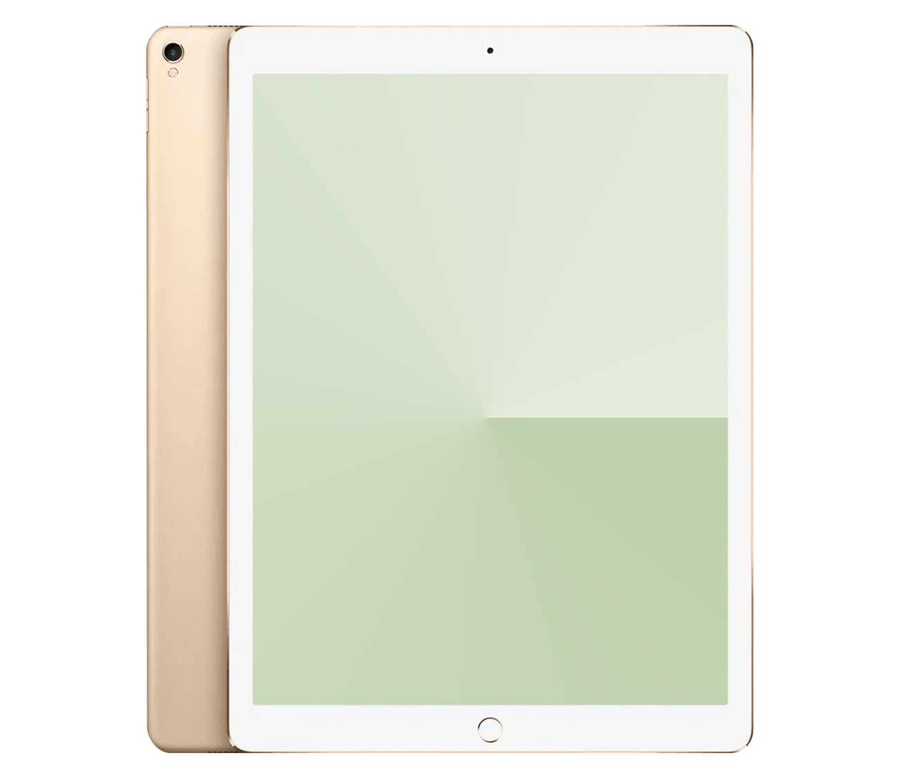 iPad Pro 12.9" 2.Gen reparation