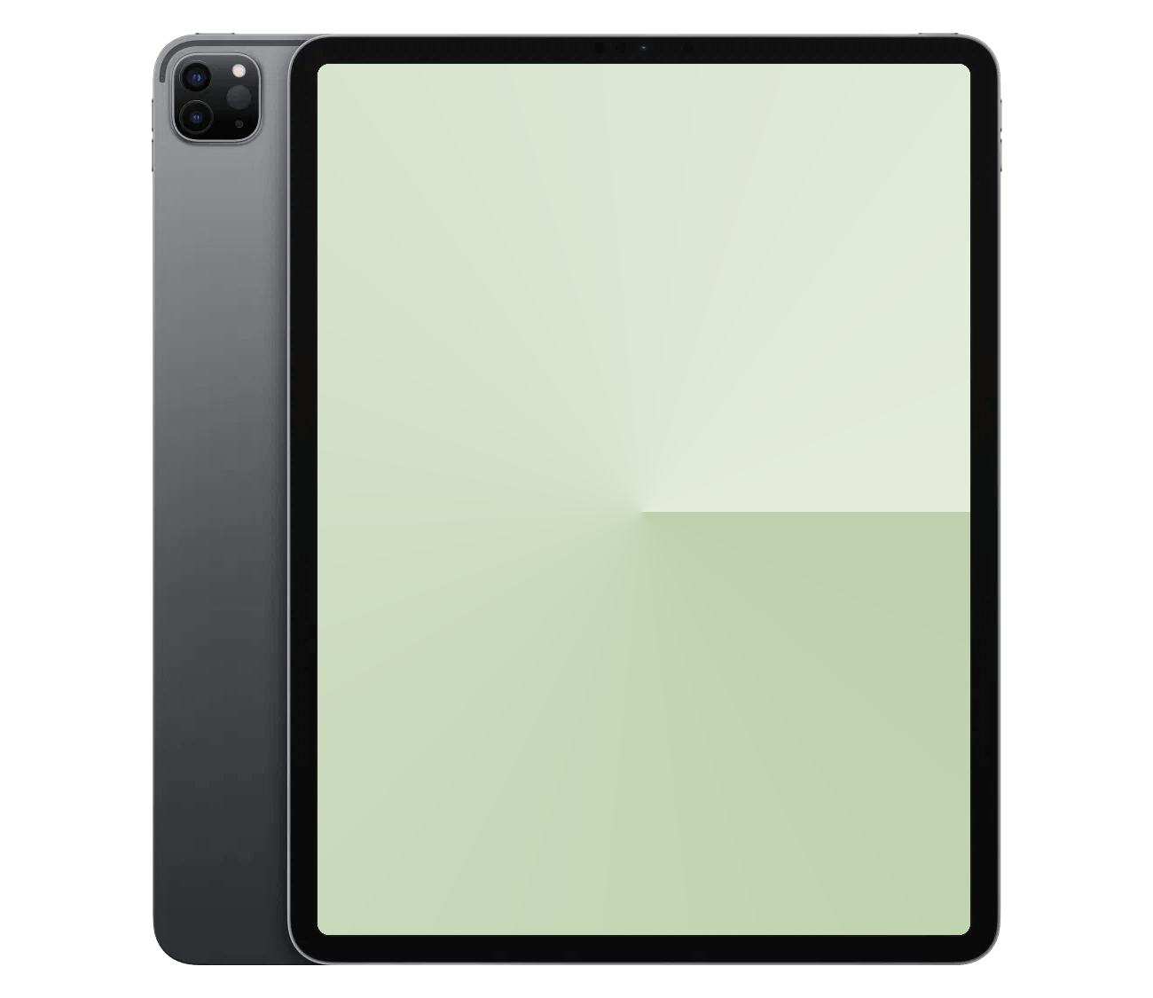 iPad Pro 12.9" 5.Gen reparation